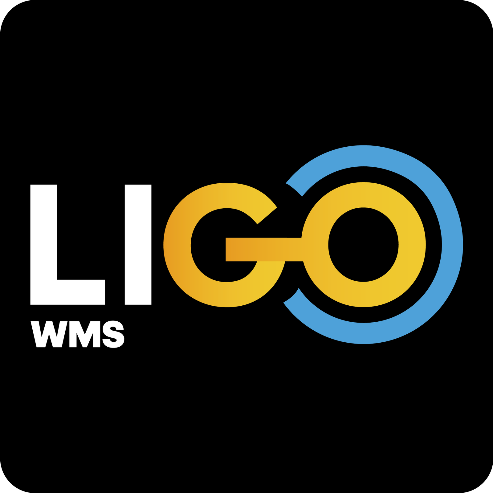 logo-ligo-WMS